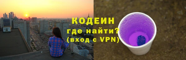 СК Няндома