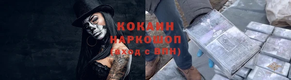 a pvp Гусь-Хрустальный
