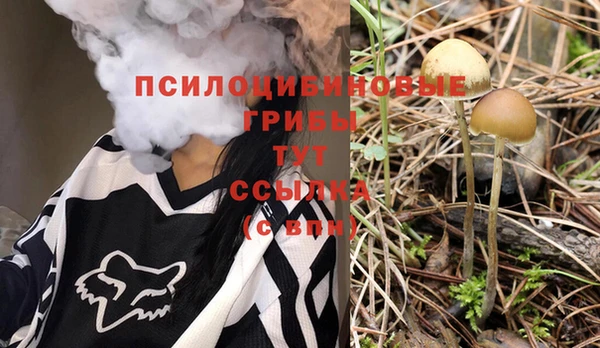 a pvp Гусев