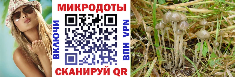 Галлюциногенные грибы Psilocybe  цены   ОМГ ОМГ сайт  Осинники 